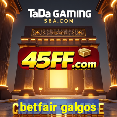 betfair galgos